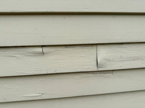 Best Vinyl Siding Installation  in Mazomanie, WI